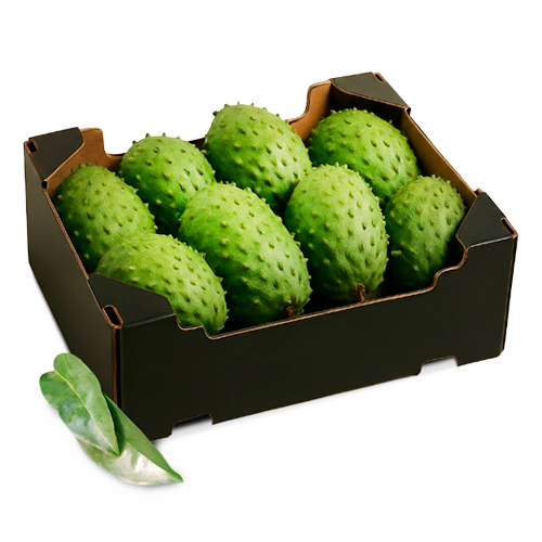 Caja de exportación con Guanábana (Soursop) fresca de King Chars. Fruta exótica mexicana.