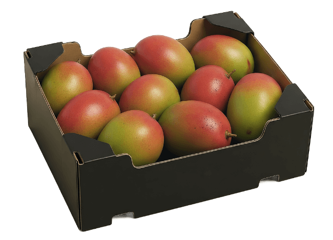 Caja de cartón con 10 mangos maduros de King Chars. Mango premium de exportación.