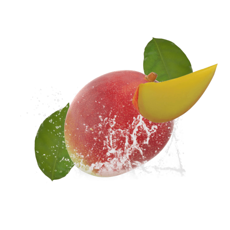 Mango maduro (rojo y amarillo) con rebanada y salpicaduras de agua. Fruta fresca y jugosa King Chars.