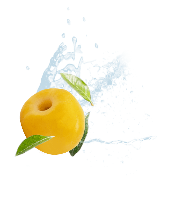 Nanche procesado sin semilla con salpicaduras de agua. Fruta orgánica King Chars en conserva.