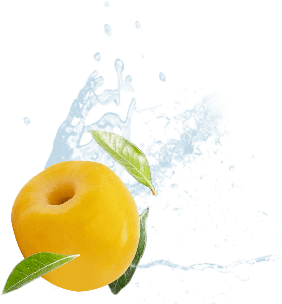 Nanche procesado con salpicaduras de agua y hojas. Fruta orgánica King Chars lista para consumo.